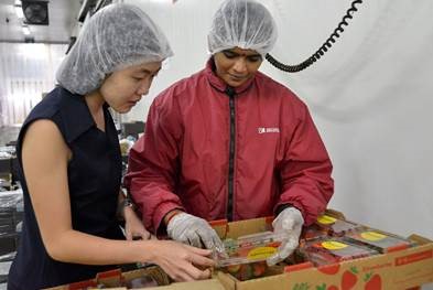 An AVA officer (left) assists Ban Choon in monitoring the effects of the air purification system on improving the shelf-life of fresh produce in its store.